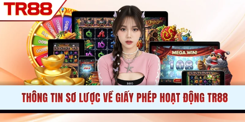 Thông tin sơ lược về giấy phép hoạt động TR 88